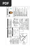 Understanding River Profiles and Grading | PDF | Valley | River