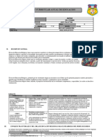 Prog. Anual Ciclo Vi