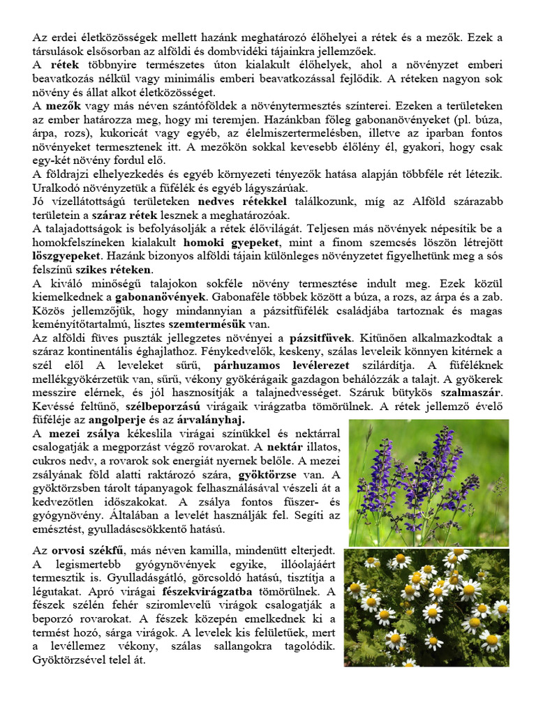 Rétek | PDF