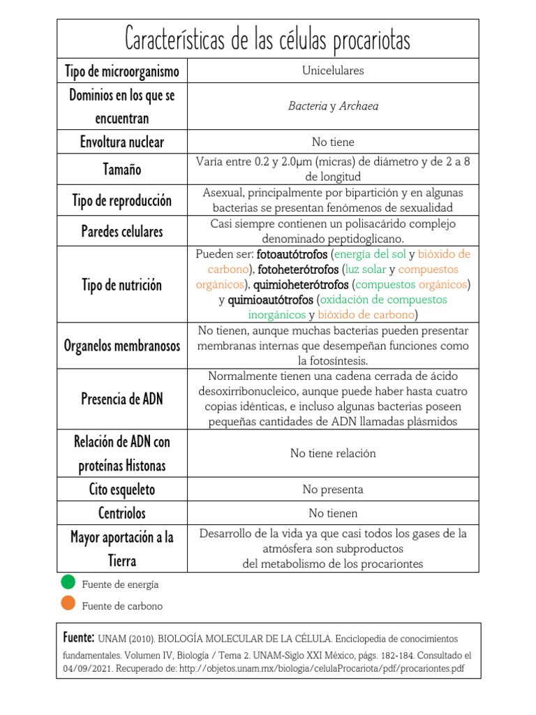 Células Procariotas | PDF | Biología Celular) | Las bacterias