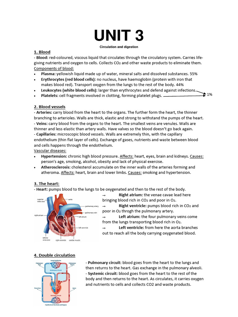 Unit 3 Biology Pdf Small Intestine Human Digestive System