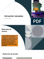 1 Diapositivas Trituracion y Molienda