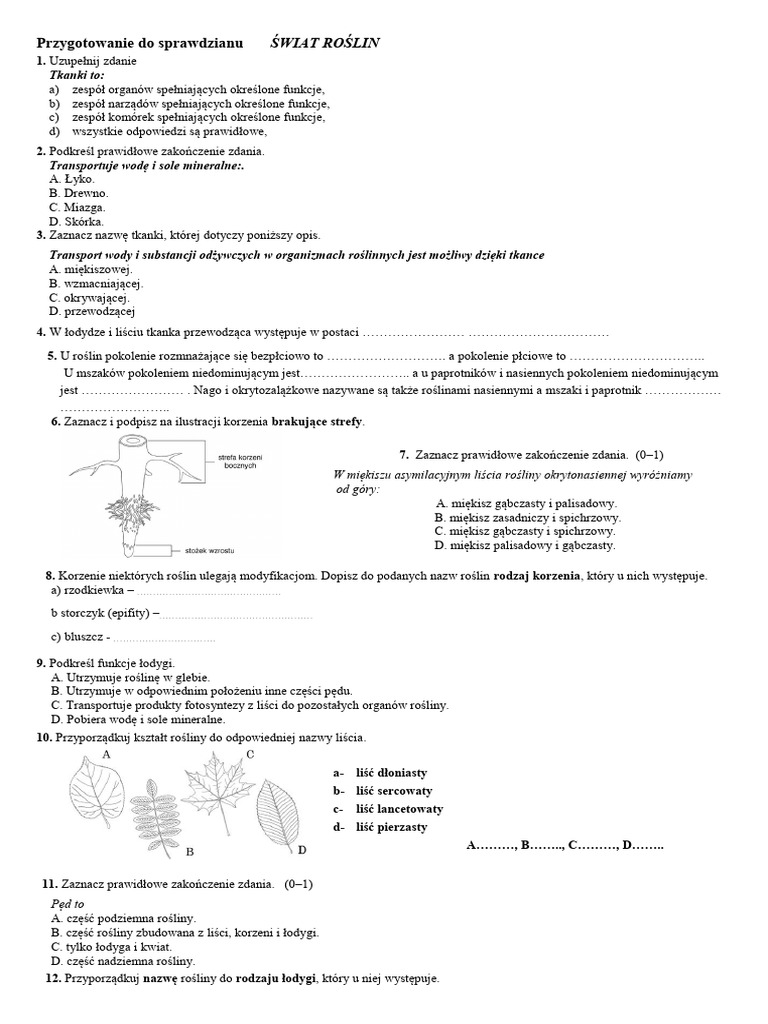 ŚWIAT ROŚLIN Tkanki I Organy Roślinne - Swiat - Roslin - Test - kl5 | PDF