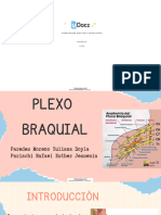 plexo-braquial-332964-downloadable-3797147