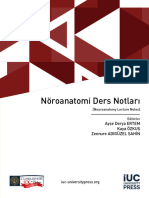 Nöroanatomi Ders Notları Eng