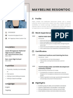 Simple Professional CV Resume