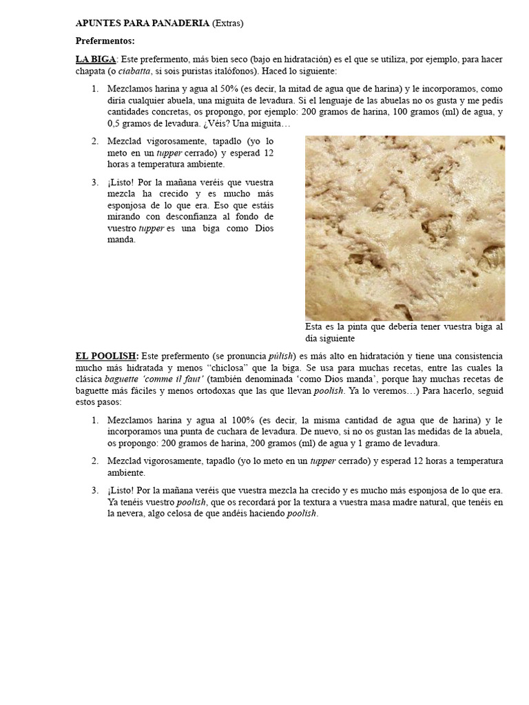 APUNTES Extra PARA PANADERIA | PDF | De masa fermentada | Panes
