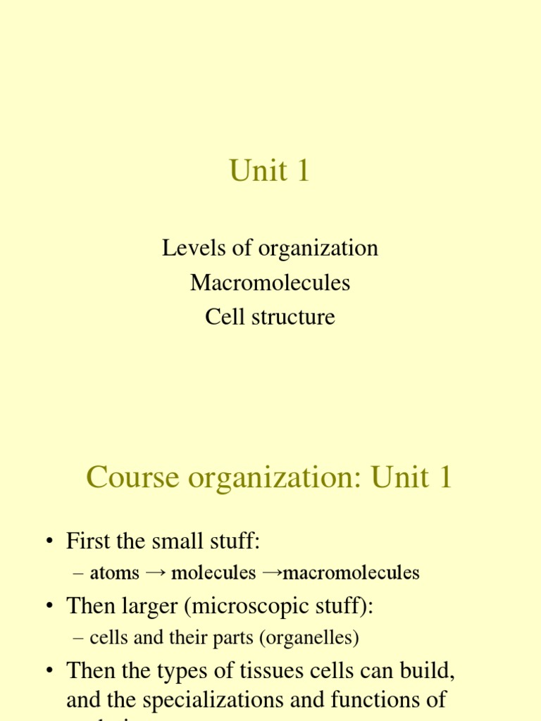 Unit 1 Levels of Organization Macromolecules Cell Structure PDF Carbohydrates Lipid