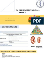 Insuficiencia Renal Crónica y Nutrición