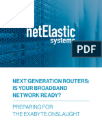 WP - netElastic_Next_Gen_Routers
