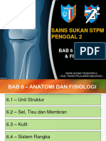 Bab 6 - Anatomi & Fisiologi