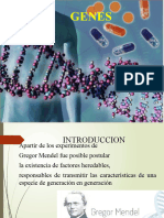 genes estructura y función