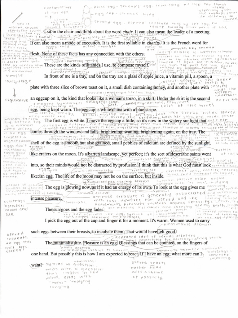 egg Handmaid's Tale Passage Analysis Annotated PDF