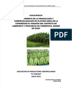 PDF Plan de Negocio de Platano - Compress