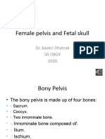 Foetal Skull & Maternal Pelvis