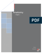 Anatomy - Organs Script
