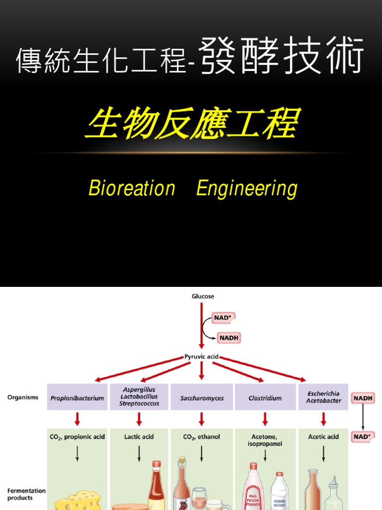 生物反應器 | PDF