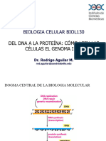 Clase 07 08 Condens BIOL130 2024-01 RAM