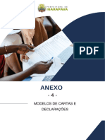 ANEXO 04 PMIModelo de Cartas e Declaracoes