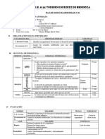 PLAN DE SESION DE APRENDIZAJE Nº 01