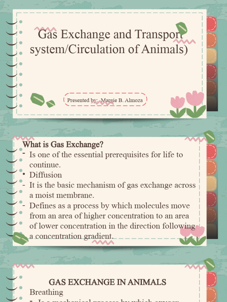 Gas Exchange Mechanisms in Animals | PDF | Respiratory System | Lung