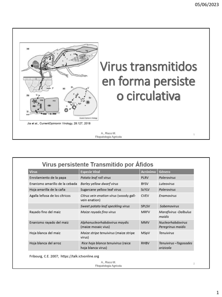 4-CLASE F AGRI-Persistente - Gris | PDF | Plantas | Organismos