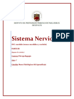 Sistema Nervioso Apunte3 1