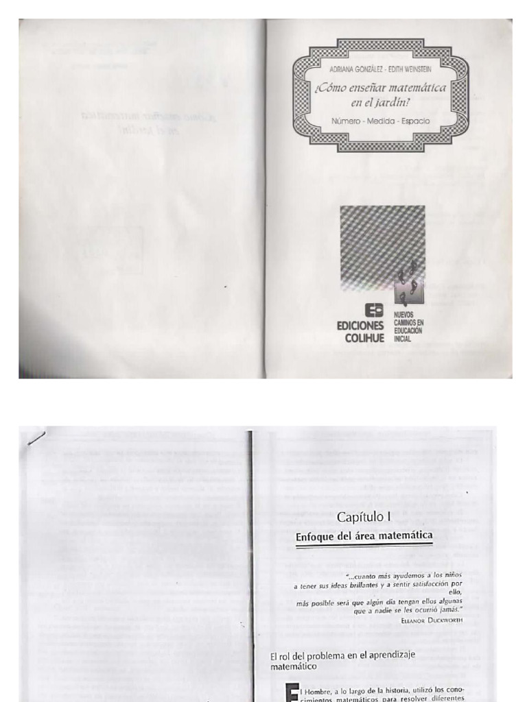 Cap 1 Enfoque Del Área Matemática Adriana González Edith Weinstein | PDF