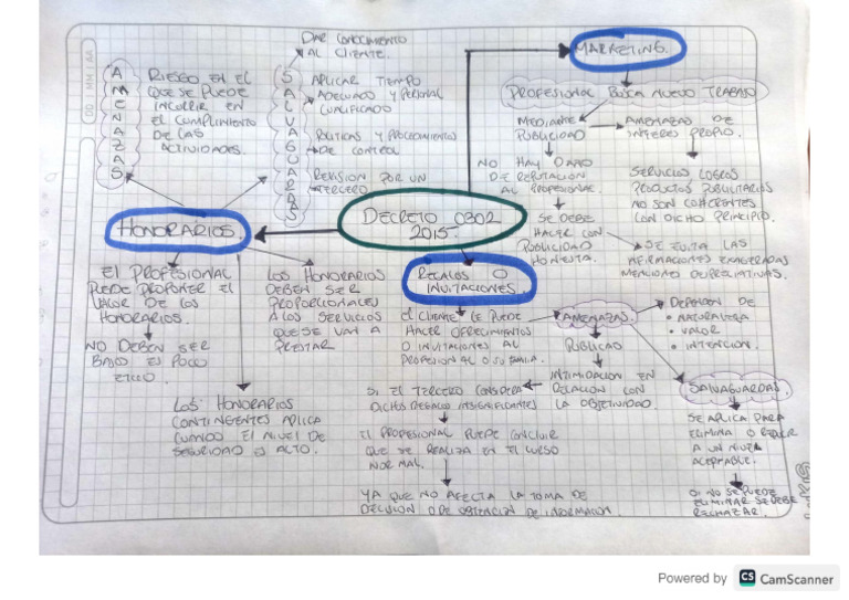 Mapa Mental Decreto 0302 de 2015 | PDF