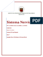 SISTEMA NERVIOSO-Apunte3