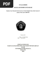 Download Makalah Pembuluh Darah Arteri by Yustino Armend Wigoeno SN72970699 doc pdf