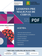 Lesiones Pre Malignas de Cervix