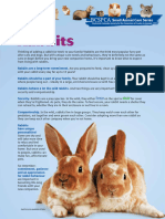 Rabbit Handbook