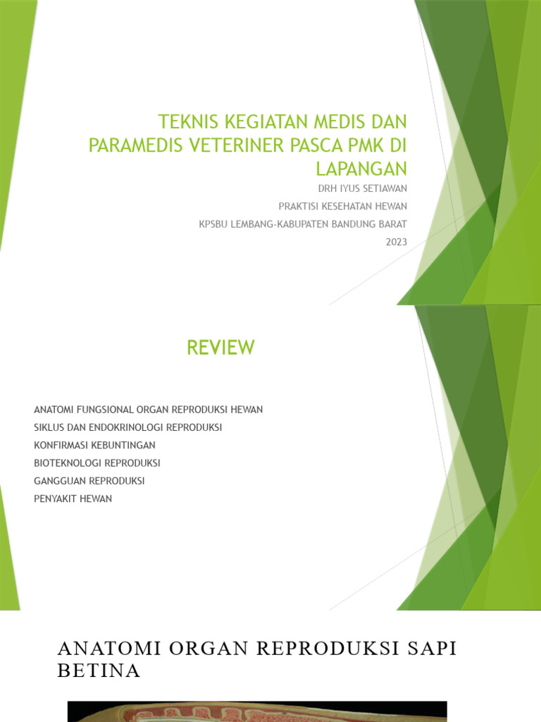 Manajemen Reproduksi Sapi | PDF | Sains & Matematika | Teknologi & Rekayasa