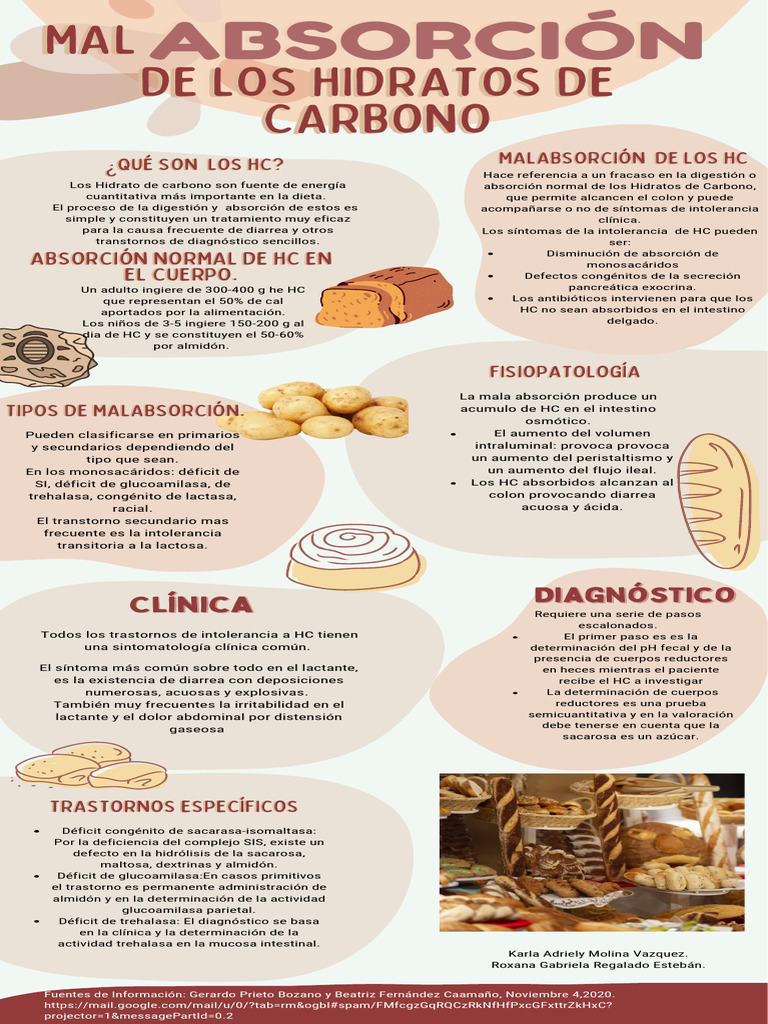 Infografia De Los Carbohidratos Pdf Digestión Diarrea