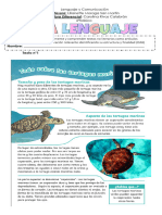 articulo informativo 6° 