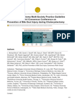 Safe Cholecystectomy Multi-Society Practice Guideline and State of The Art Consensus Conference On PR