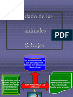 Presentación Animales