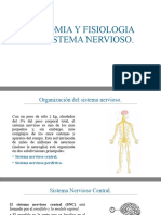 01 Anatomia y Fisiologia Del Sistema Nerviosos