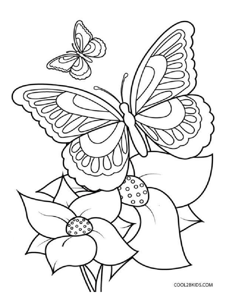 BUTTERFLIES | PDF