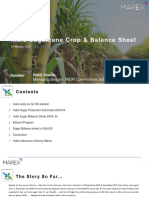 Sugarcane Sugar & Ethanol Balance sheet-Feb 2024