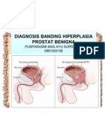 Diagnosis Banding Hiperplasia Prostat Benigna