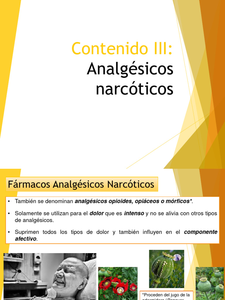 Analgésicos Narcóticos 2024 | PDF | Opioide | Analgésico