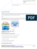 Electroforesis Vertical