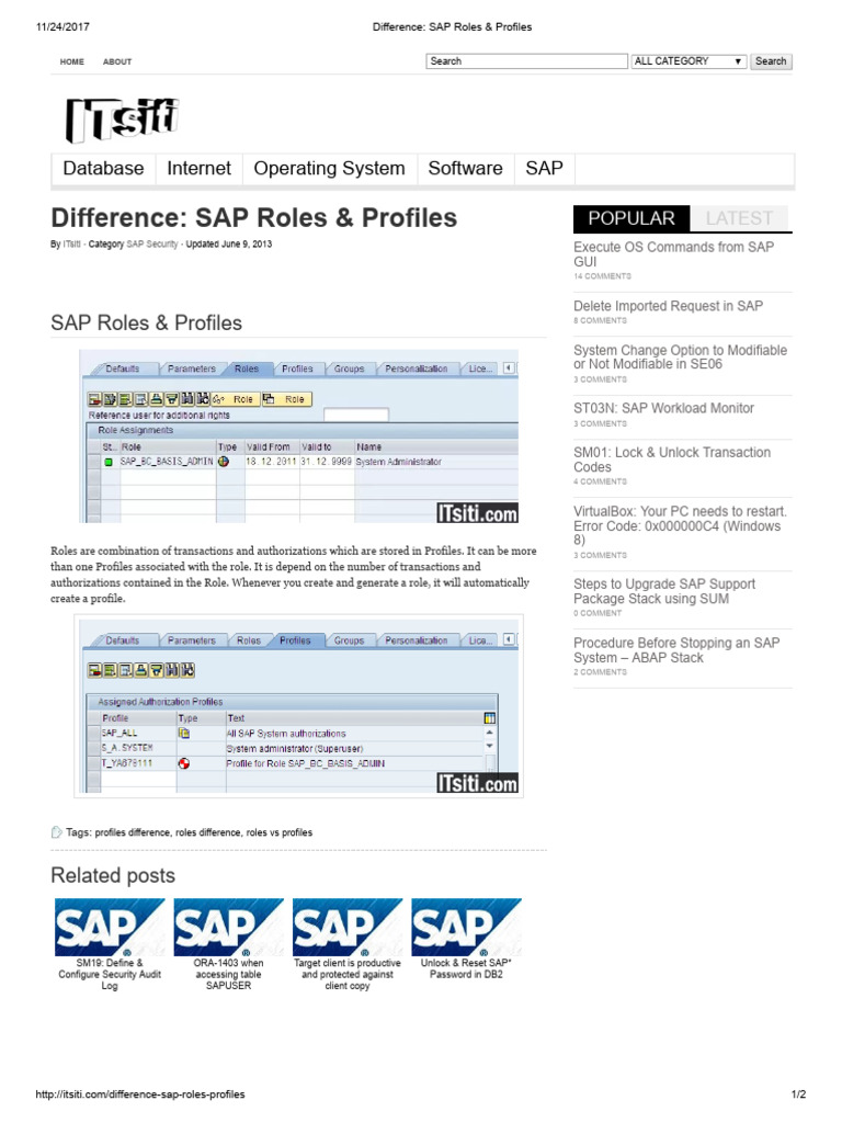 SAP Roles vs Profiles Explained | PDF | Computer Architecture | Computing