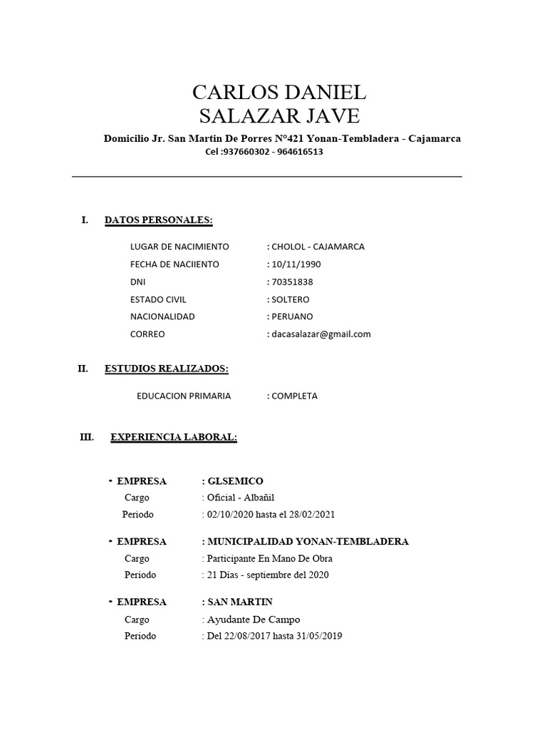 Cv carlos daniel salazar jave pdf