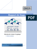 Rapport de Stage Cnss (1)