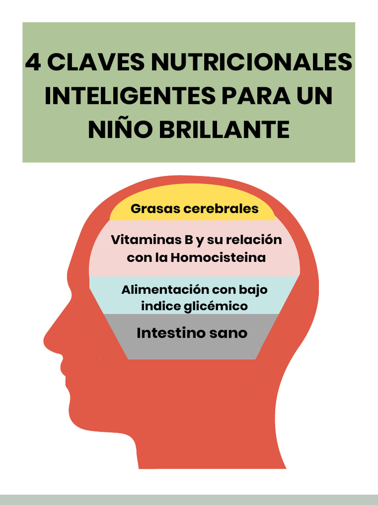 4 claves nutricionales para un ni o brillante pdf vitamina b12