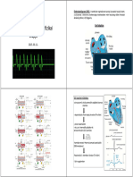 Az Elektrokardiográfia Fizikai Alapja: Elektrokardiogram (EKG)