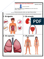 3 La Función de Nutriciónpdf